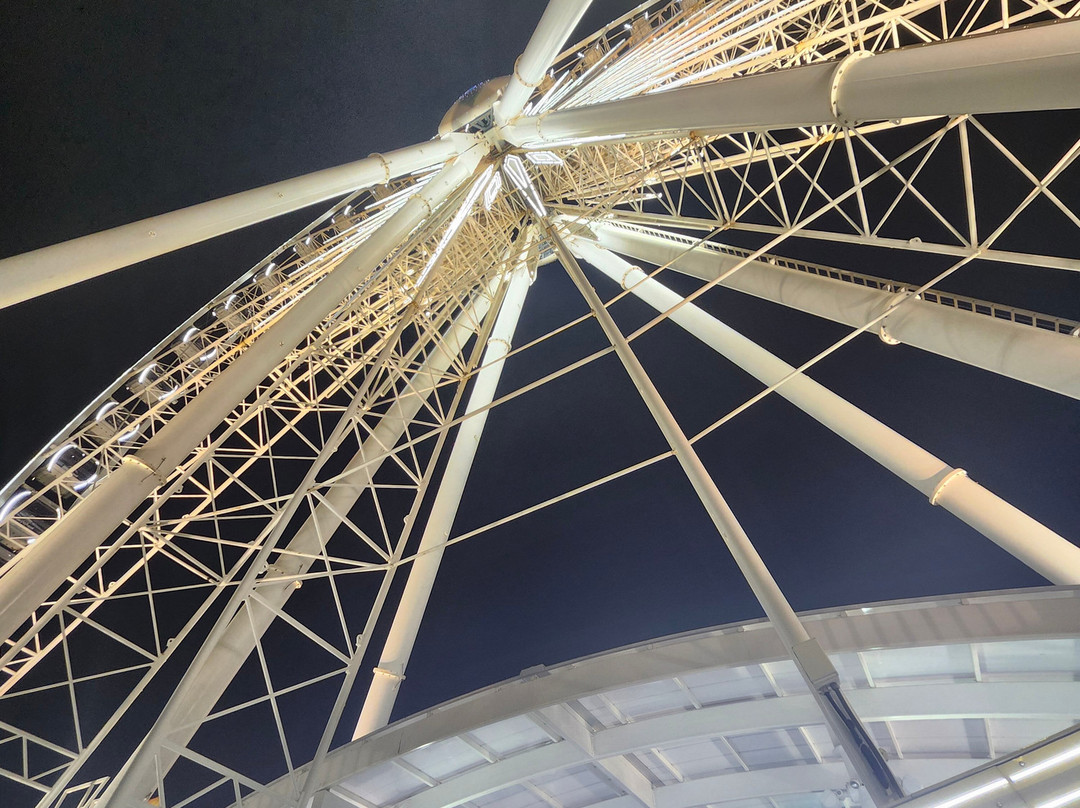 Niagara SkyWheel-尼亚加拉大瀑布必去景点