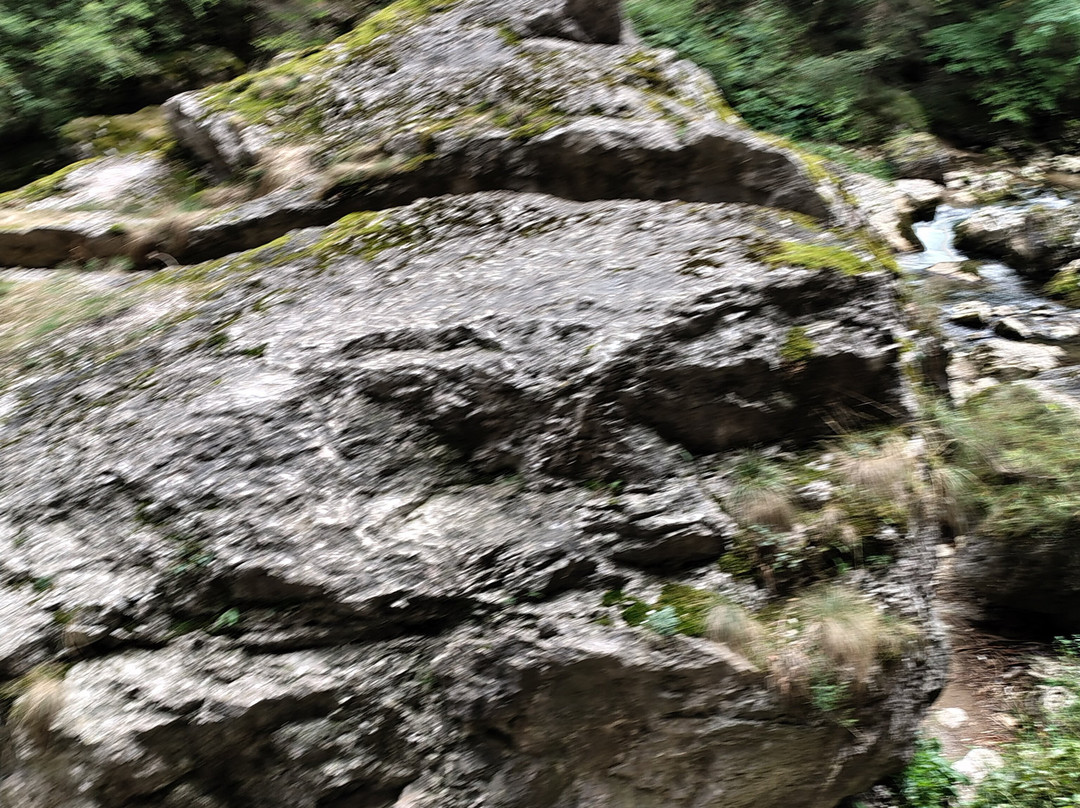 Parcul național Cheile Bicazului-Bicaz-Chei必去景点
