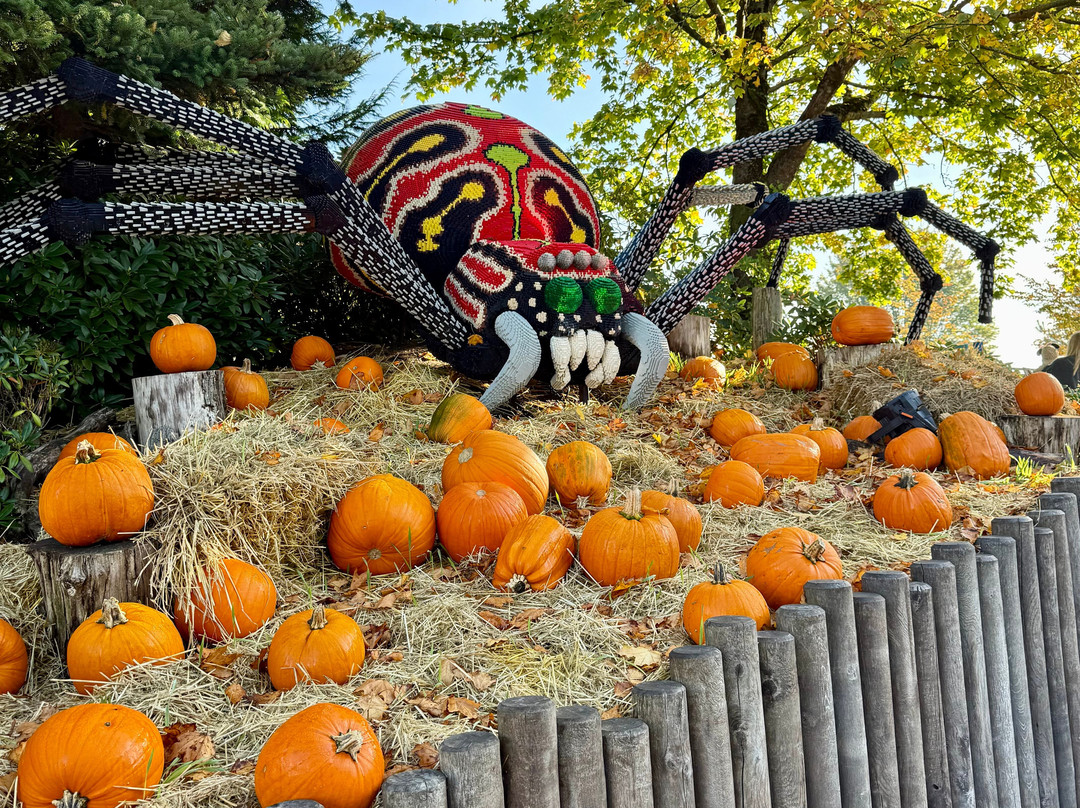 LEGOLAND Billund-比隆必去景点