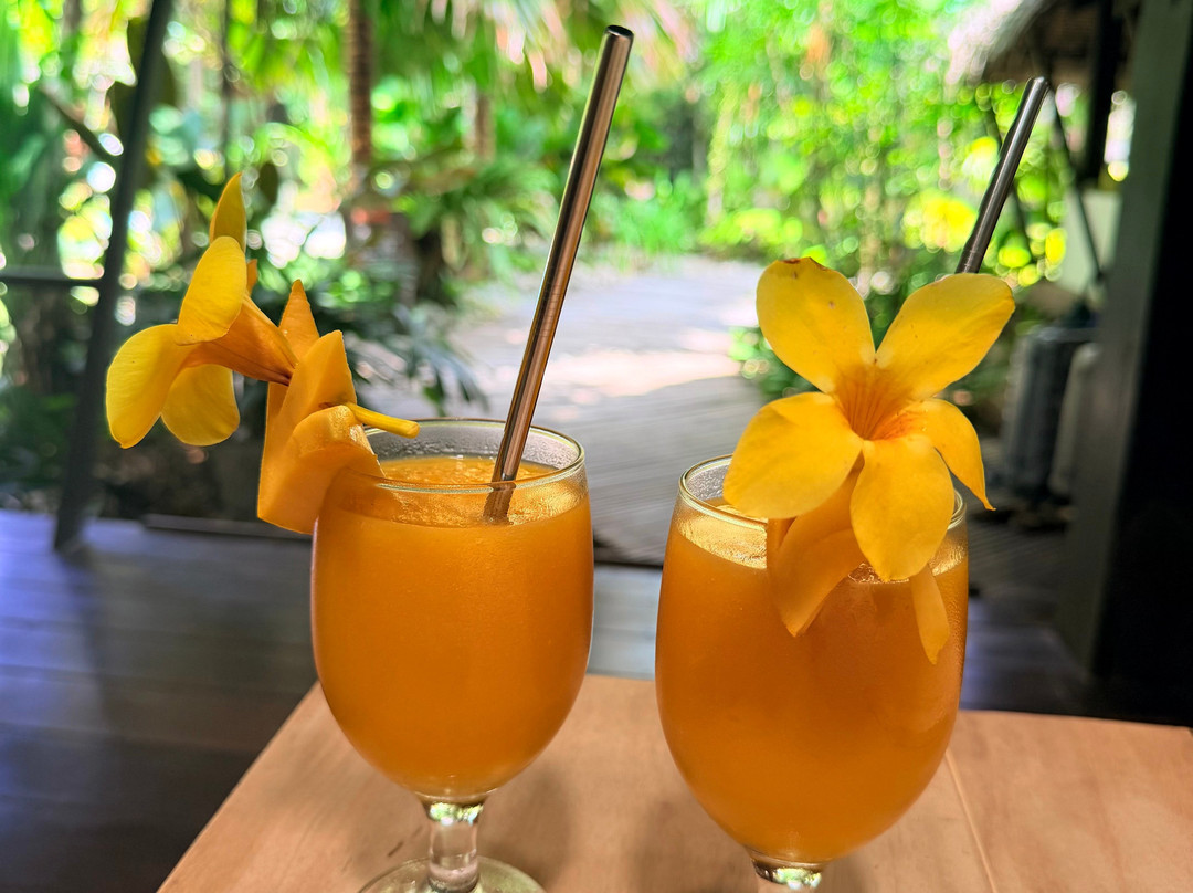 kawayan villa siargao