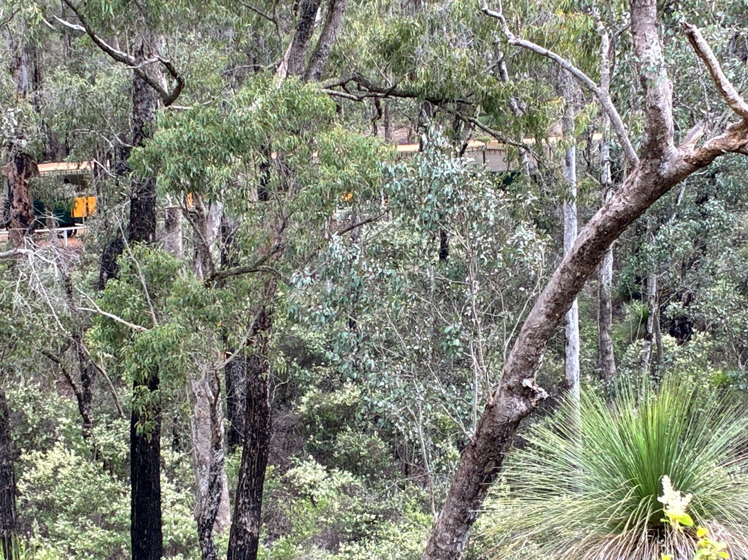 Hotham Valley Tourist Railway-Dwellingup必去景点