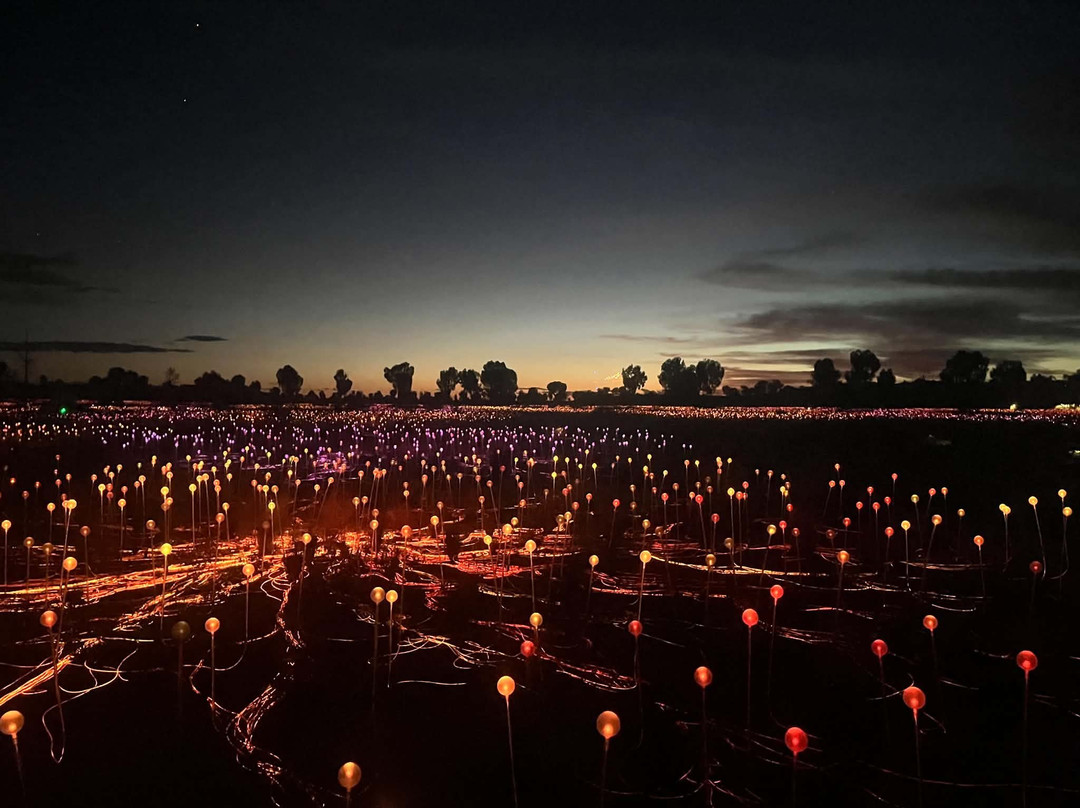 Field of Light-乌鲁鲁-卡塔丘塔国家公园必去景点