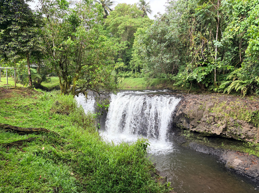 Togitogiga Waterfall-Upolu必去景点