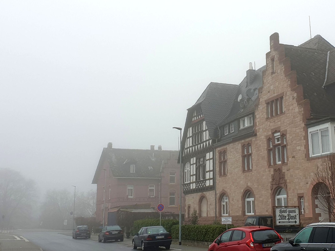 Ginsheim-Gustavsburg旅游攻略图片