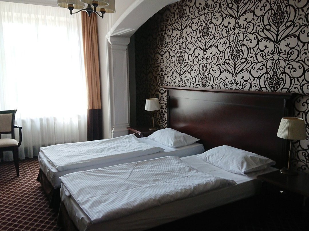 Hotel Wilenski