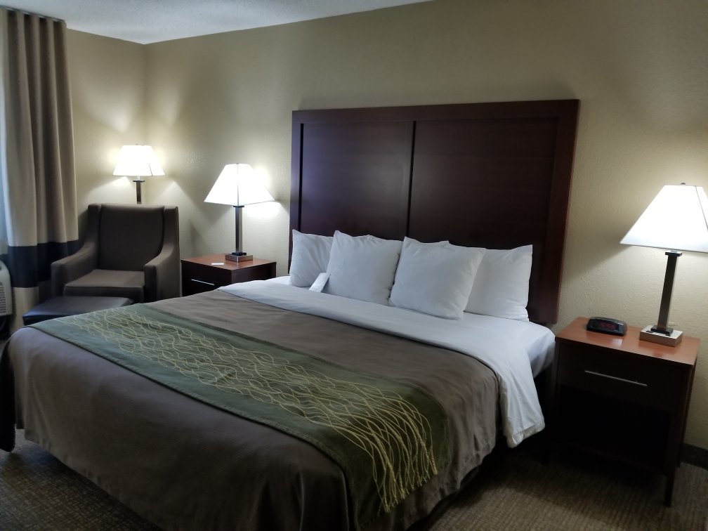 Comfort Inn Morris I-80-官方