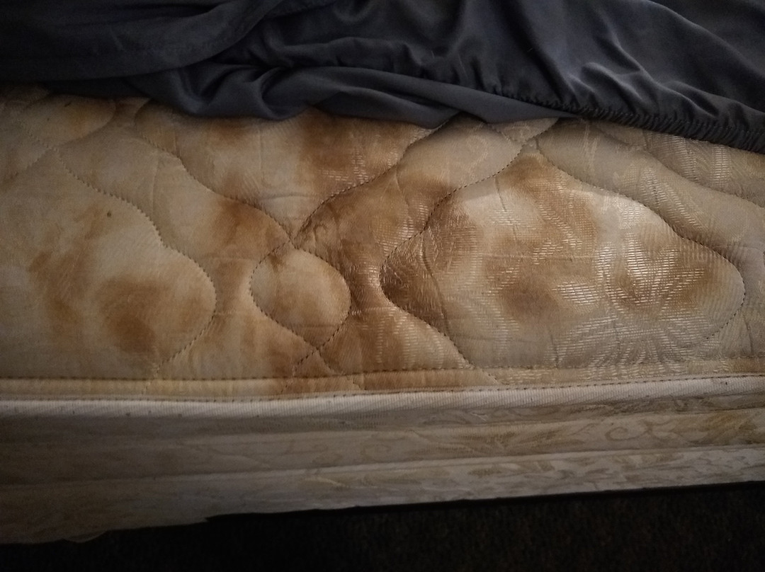 HomeAway Extended Stay Studios