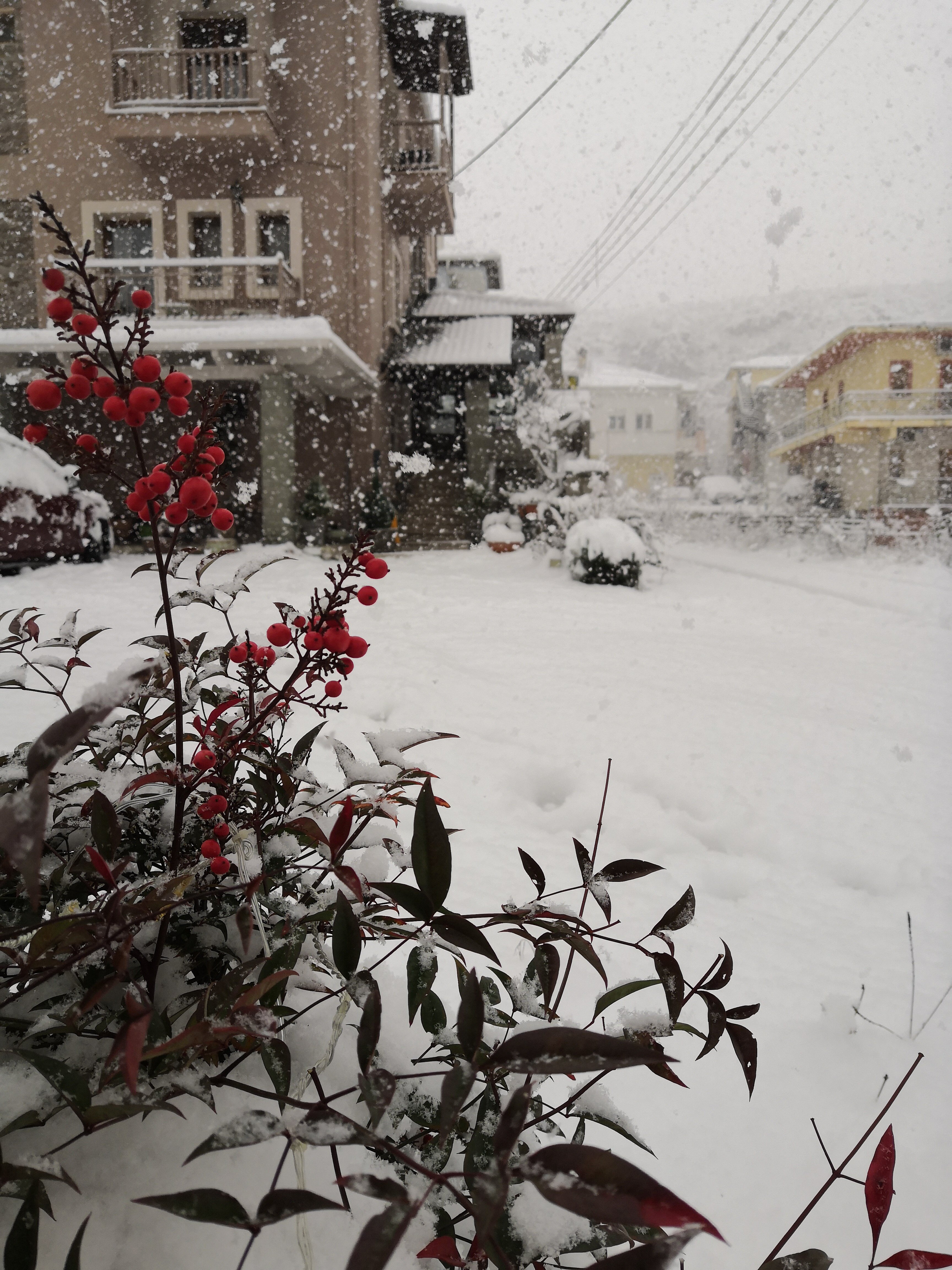 Akrolimnion Hotel-官方