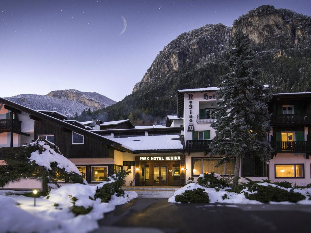 Panchia酒店住宿-Park Hotel Regina delle Dolomiti