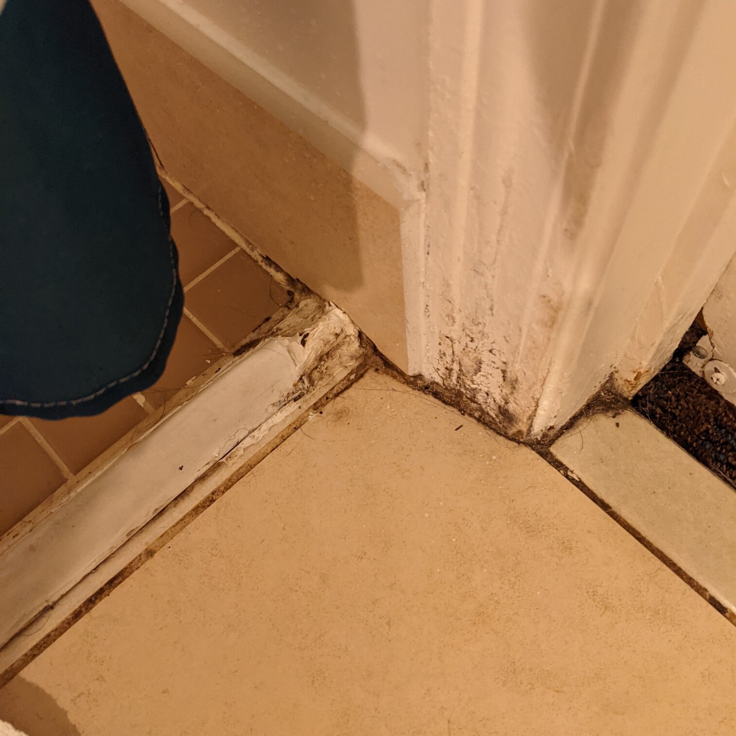 Residence Inn by Marriott Seattle Northeast/Bothell-portrait