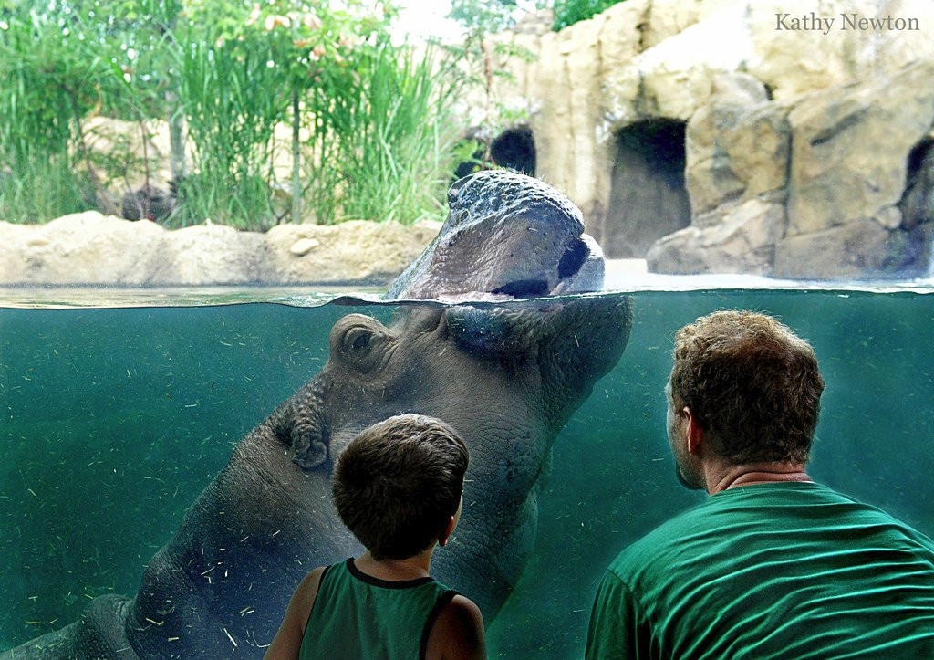 Cincinnati Zoo & Botanical Garden景点图片