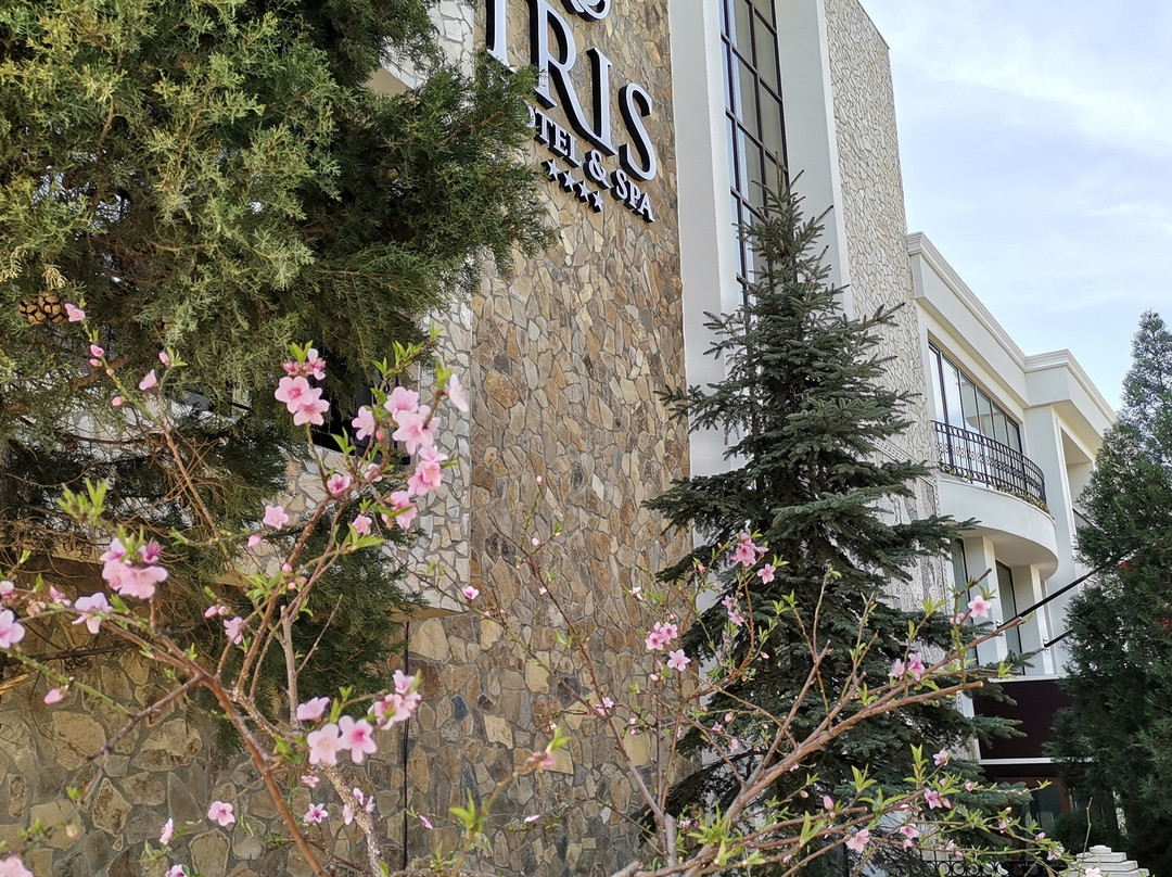 Iris Hotel & Spa主图