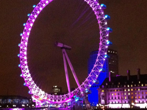 Westminster Party Boats-伦敦必去景点