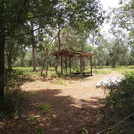 Lake Proctor Wilderness Area-Geneva必去景点