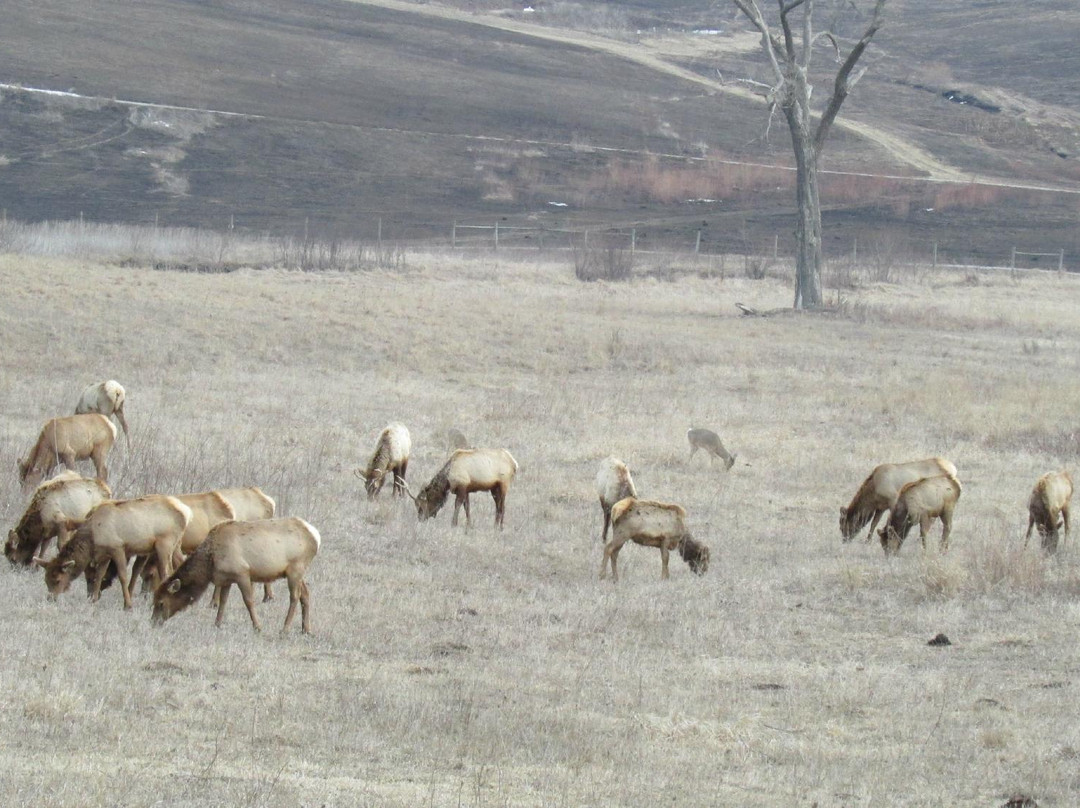 Neal Smith National Wildlife Refuge and Prairie Learning Center景点图片