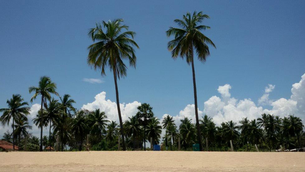 Nilaveli Beach景点图片