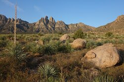 Organ Mountains-Desert Peaks National Monument-拉斯克鲁塞斯必去景点