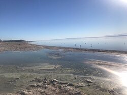 Salton Sea State Recreation Area-Mecca必去景点