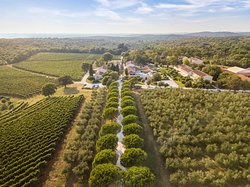Meneghetti Wine Hotel & Winery-官方