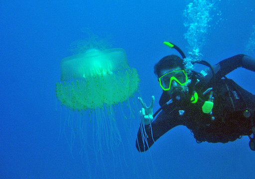 Mike Severns Diving-基黑必去景点