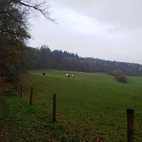 Wandelroute Heerlijkheid Beek-Berg en Dal必去景点