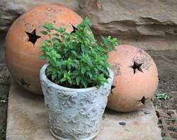 Queenstown酒店住宿-Lavender Lane