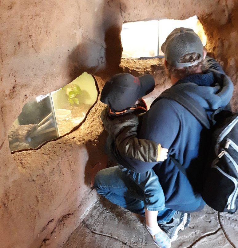 Heritage Park Zoo-普雷斯科特必去景点