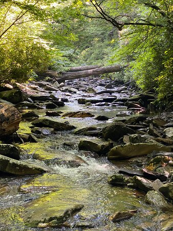 Fly Fishing the Smokies-布赖森城必去景点