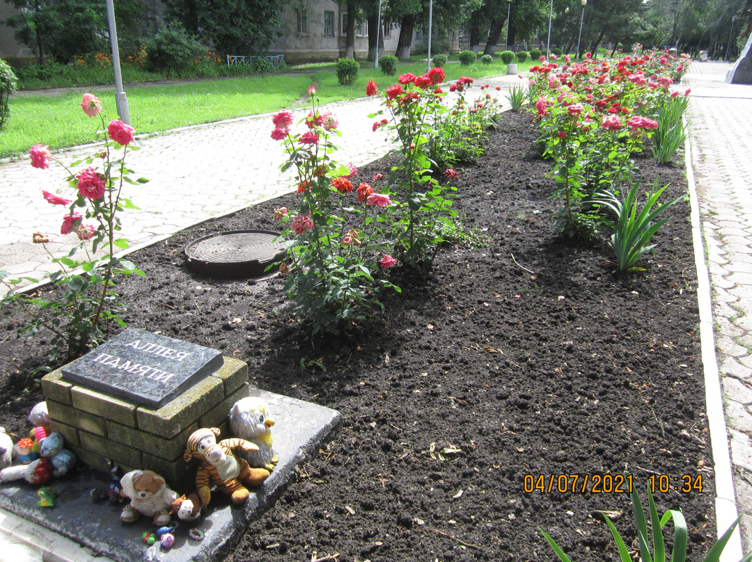Monument to Soldiers-Liberators in Khartsyzsk-Khartsyzsk必去景点