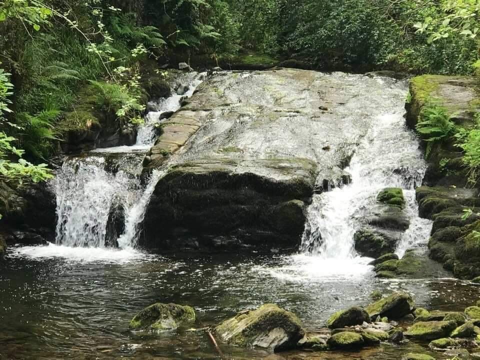 The Sandrock Lynton-官方