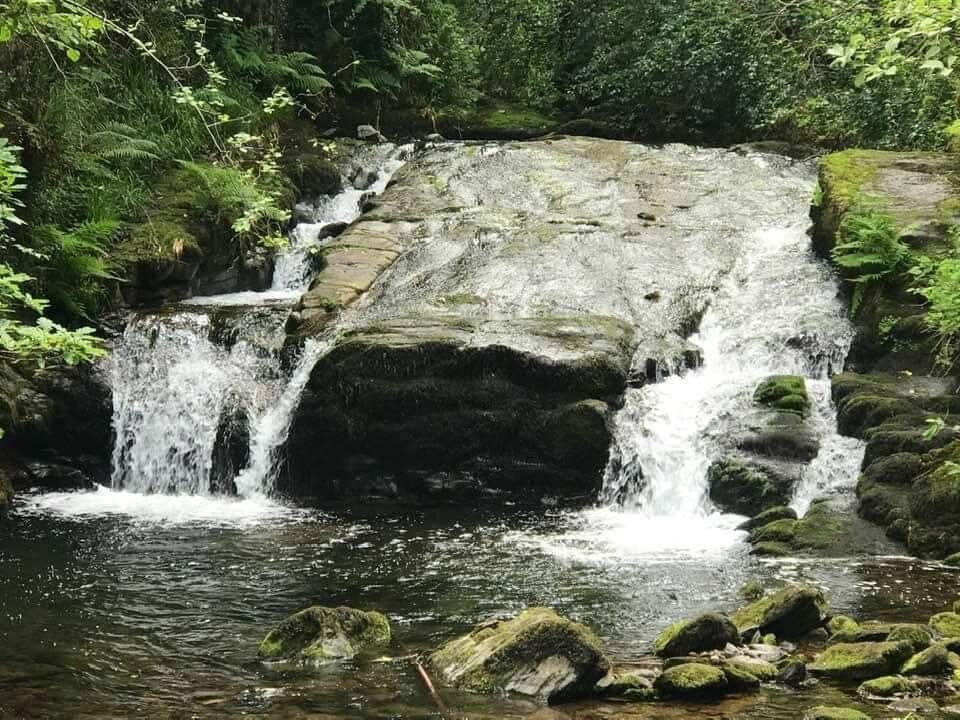 The Sandrock Lynton主图