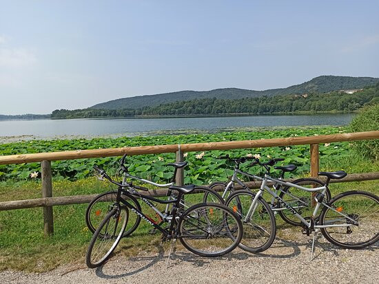 pista ciclabile lago di Comabbio景点图片