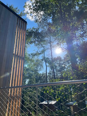 Piaule Catskill主图