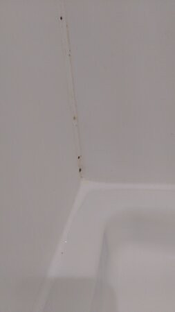 La Quinta Inn & Suites by Wyndham Tifton主图