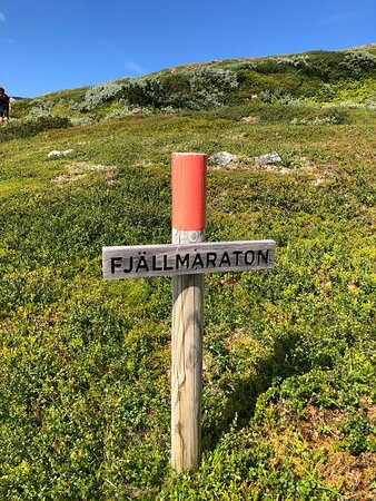 Trillevallens Hogfjallshotell主图