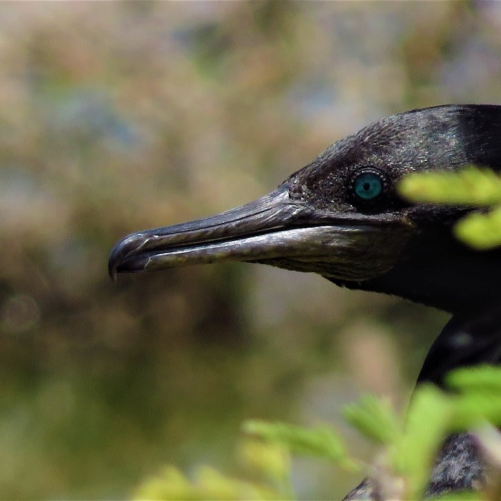 Bundala Wings And Wild Guilde Tours-Hambantota必去景点