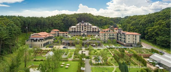 Eden Paradise Hotel主图