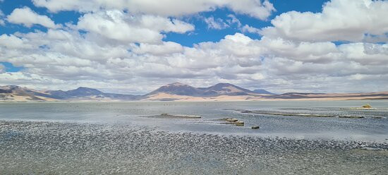 Parque Nacional Salar del Huasco-伊基克必去景点