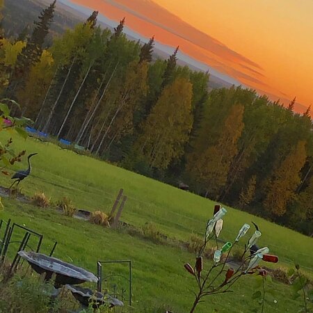 阿拉斯加风情木屋酒店-酒店景观