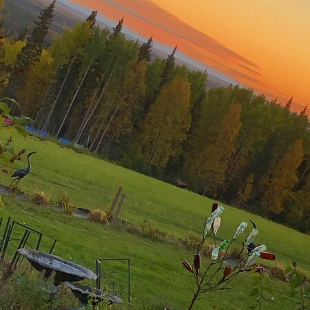 阿拉斯加风情木屋酒店主图