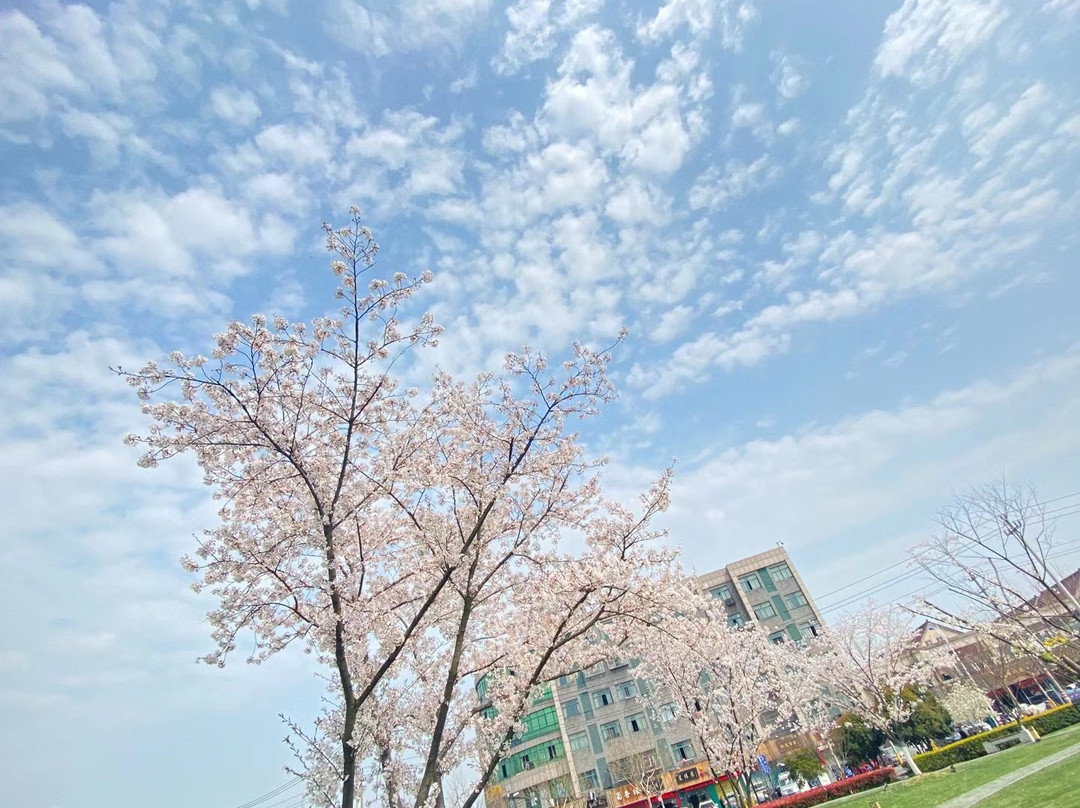 Holiday Inn Express Pinghu by IHG主图