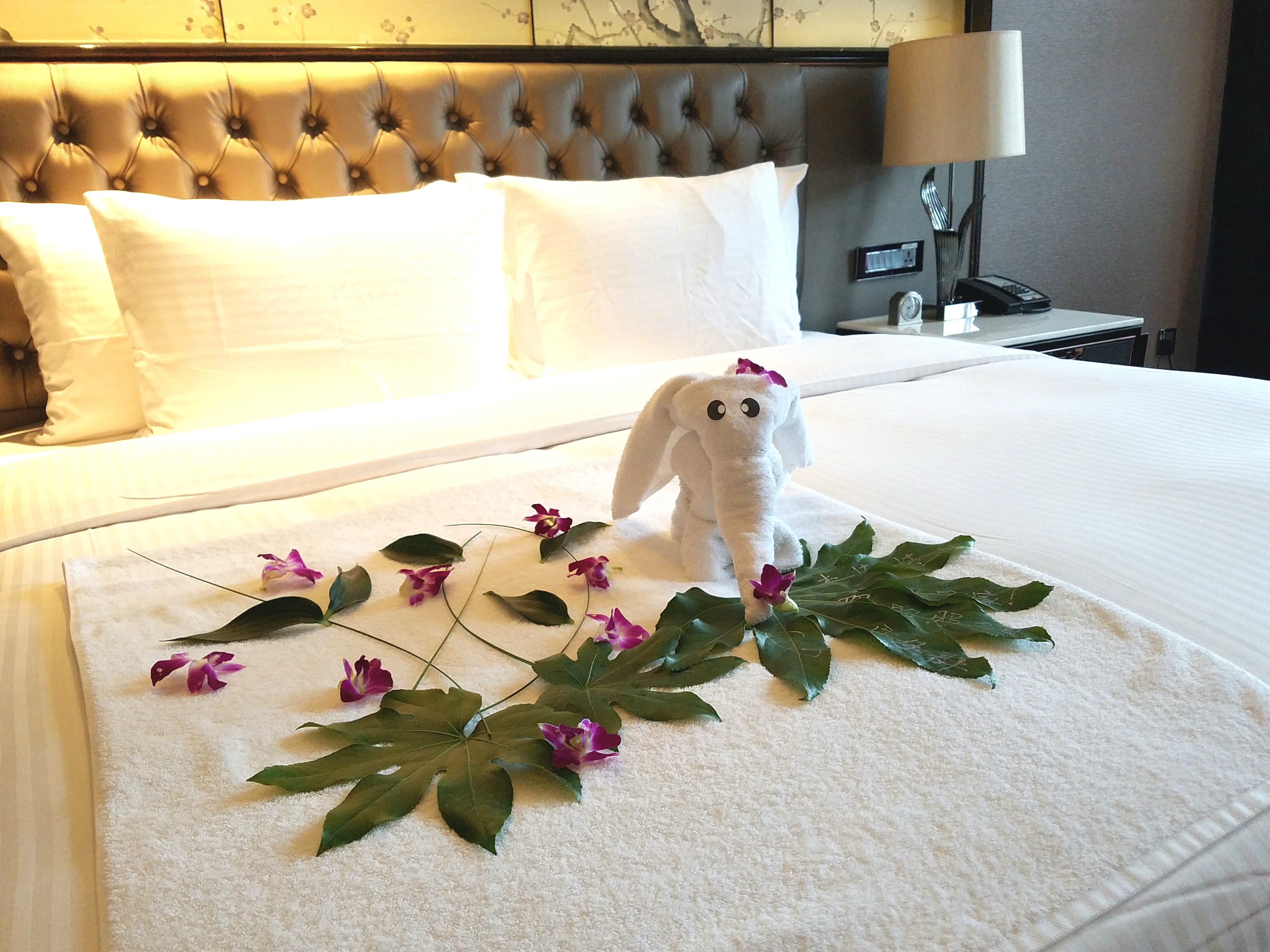 南京万达嘉华酒店-客卧