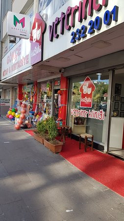 Ankara Cagdas Sanat Tiyatrosu-安卡拉必去景点