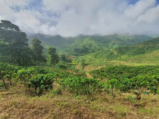Hacienda La Mesa-Palestina必去景点
