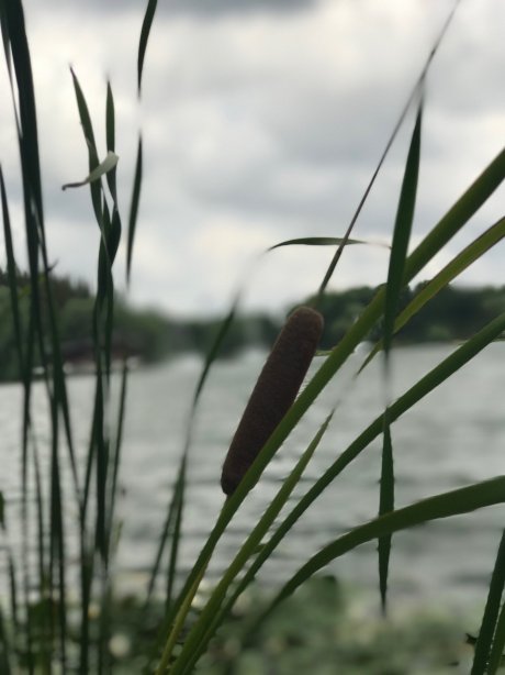 东郊宾馆-酒店景观