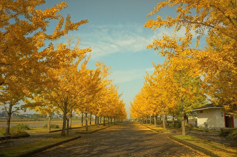 Kazo Hanasaki Water Park