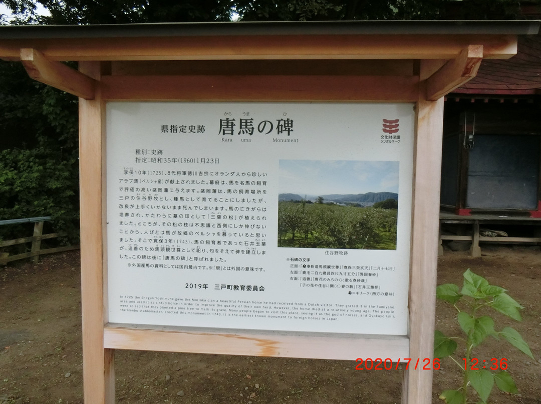 Monument of Karauma景点图片