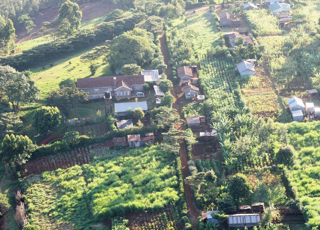 Mlango Farm-黎木鲁必去景点