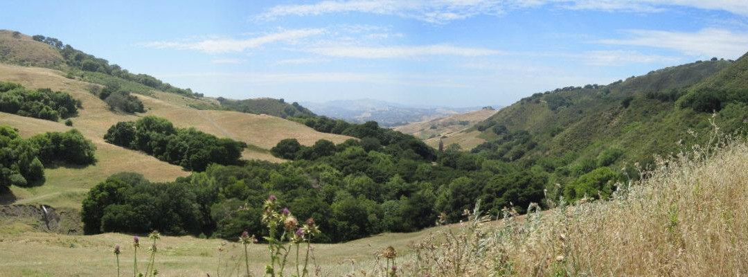 Las Trampas Regional Wilderness-圣拉蒙必去景点