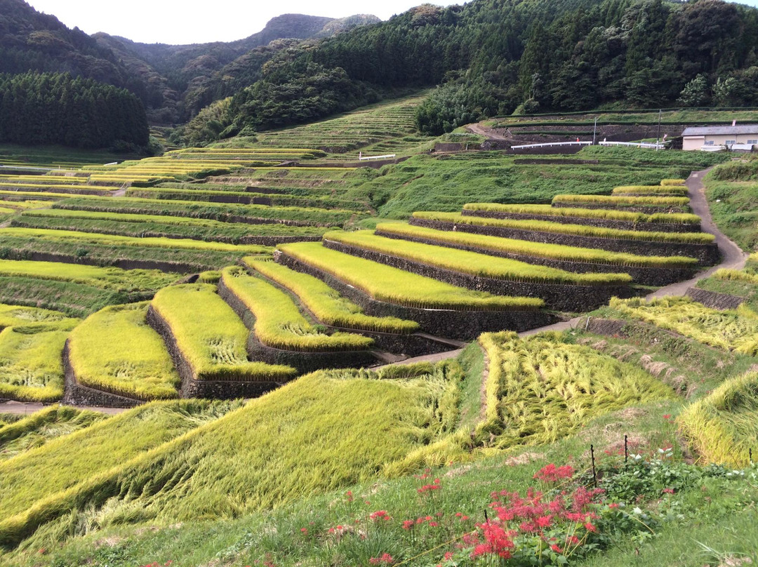 波佐见町旅游攻略图片